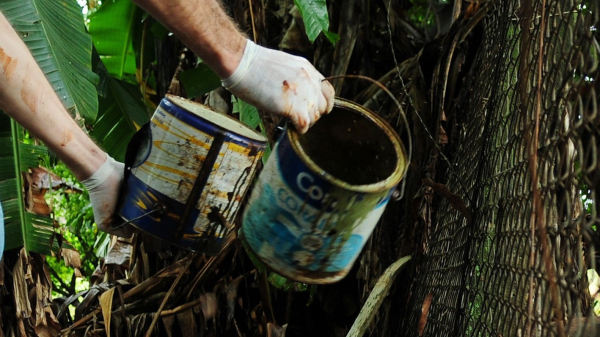 (Imagem ilustrativa/Agencia Brasilia).