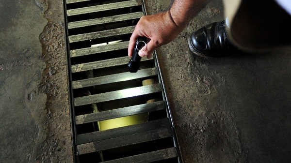 Locais que acumulem água parada são propícios criadouros para o mosquito transmissor da dengue (Imagem ilustrativa. Foto: Pedro Ventura/Agência Brasília).