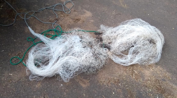 Tarrafas usadas por pescadores, nas proximidades da cachoeira do Salto Botelho, foram apreendidas pela Polícia Militar Ambiental (Foto: Cedida/PM Ambiental).