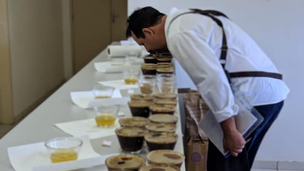 Prova de xÃcara: foram avaliadas 28 amostras de 24 produtores de café de 13 cidades paulistas (Divulgação).