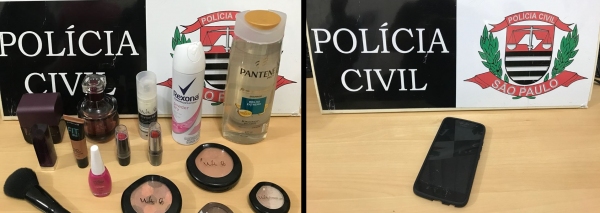 Furtos ocorreram no final de 2017 e início de 2018 e materiais furtados foram recuperados (Foto: Cedida/Polícia Civil).