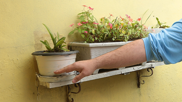 Locais que acumulam agua parada podem se tornar criadouros do mosquito transmissor (Erasmo Salom?o/MS).