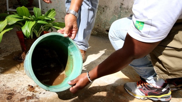 Eliminar todos os criadouros é a única forma de impedir a proliferação do mosquito (Foto: Rodrigo Nunes/MS).