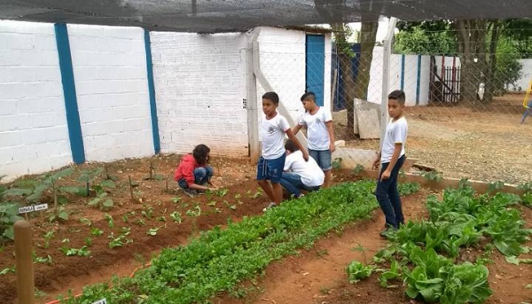 Emef Eurico Leite de Moraes tem horta educativa