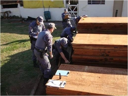 Madeireiras são multadas em R$ 191 mil na região