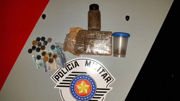 Droga estava no carro e geladeira, além de duas mudas de maconha plantadas em um vaso (Foto: Cedida/PM).