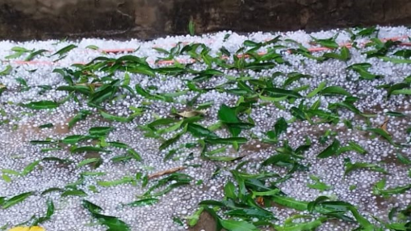 Chuva de granizo em Monte Castelo (Reprodu??o/Jorge Zanoni).