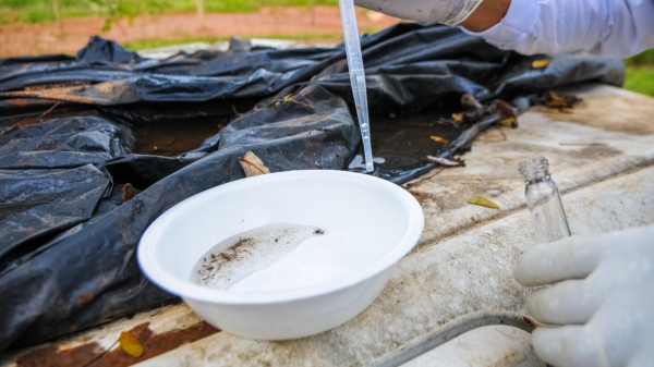 Locais que acumulam ?gua parada s?o criadouros para o mosquito transmissor da dengue (Foto: Paulo H. Carvalho/Ag?ncia Bras?lia).