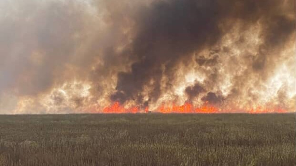 Fogo atingiu areas rurais nesta quinta-feira (11) e mobilizou equipes (Cedida).