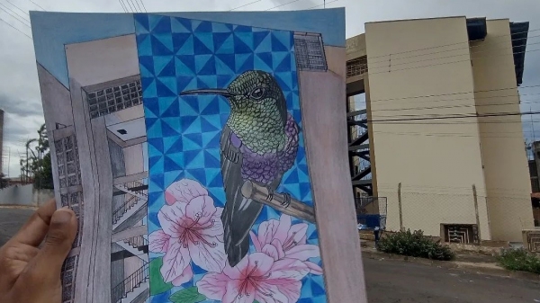 O artista apresenta o croqui do próximo projeto e busca doações para tirá-lo do papel (Reprodução).