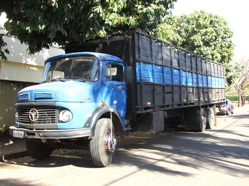 Operação prende 16 por furtos de gado em cidades da região