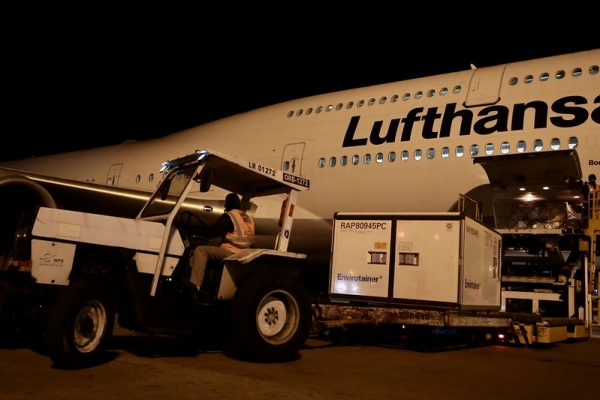Doses da vacina chegaram na madrugada desta segunda-feira no Aeroporto Internacional de Guarulhos (Governo de SP).