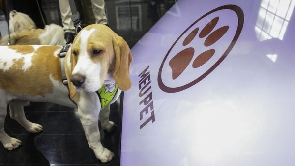 O investimento total estimado será de R$ 50 milhões, sendo cerca de R$ 5 milhões por clínica para construção e aquisição de equipamentos (Foto: GovSP).