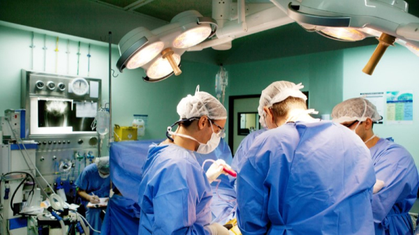 Al?m da quantidade de transplantes, o n?mero de doadores tamb?m aumentou (Foto: MS).