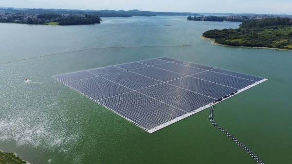 (Foto: Marcelo S. Camargo/Gov SP).