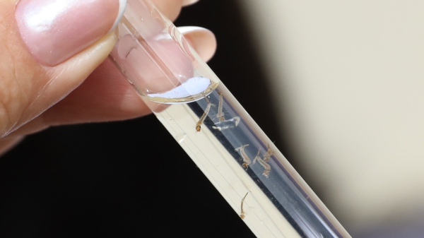 (Imagem ilustrativa: Paulo H. Carvalho/Agencia Brasilia).