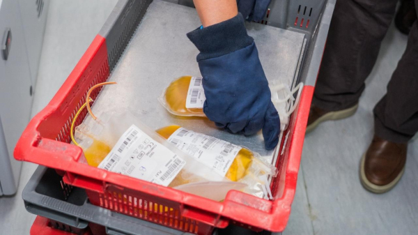 Plasma: material extraido do sangue, ao ser processado, se transforma em medicamentos essenciais para o cuidado de pacientes com hemofilia, doencas imunologicas, outras condicos de saude e tamb?m para cirurgias de grande porte (Fotos: Rodrigo Rosetti/MS).