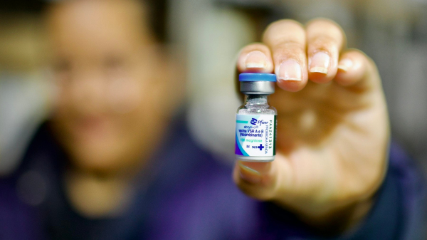 Adamantina recebeu 100 doses do imunizante e aplicou 63 (Fotos: Joao Risi / MS)