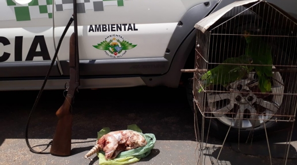 Arma de fogo, tatu abatido e duas aves silvestres, localizados pela Polícia Militar Ambiental em Pacaembu (Foto: Cedida/PM Ambiental).