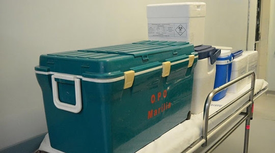 Rins e córneas foram encaminhados para a Organização de Procura de Órgãos (OPO) de Marília (Foto: AI/Santa Casa de Presidente Prudente).