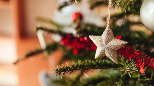 (Imagem ilustrativa/Freepik).