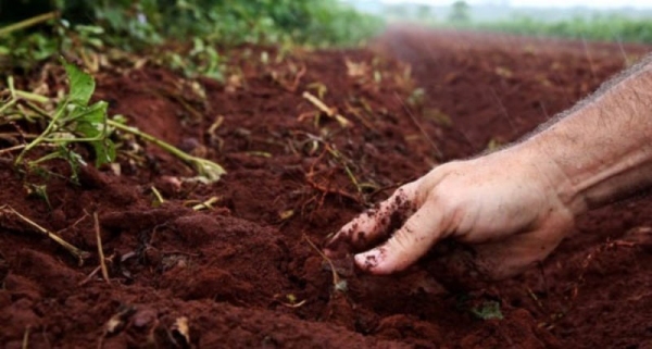 Limite de financiamento por produtor é de R$ 200 mil (Foto: Ilustração).