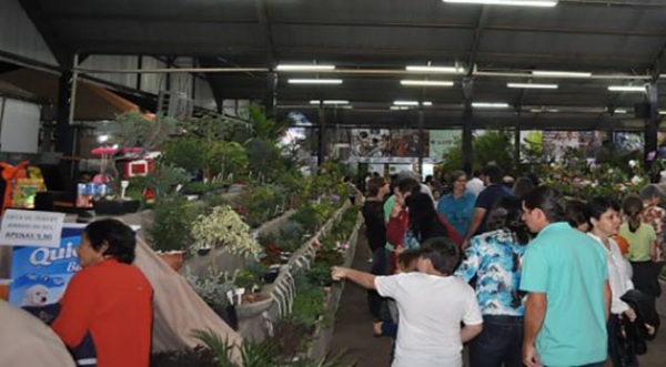 Público visita área destinada a plantas ornamentais, frutíferas, nativas e flores, na Expoverde, que segue até domingo (Fotos: Assessoria de Imprensa).
