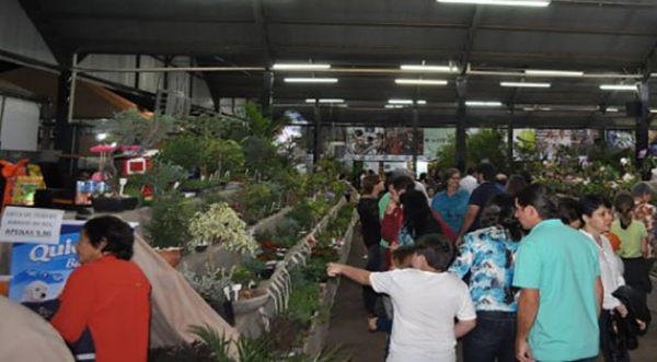 Público visita área destinada a plantas ornamentais, frutÃferas, nativas e flores, na Expoverde, que segue até domingo (Fotos: Assessoria de Imprensa).