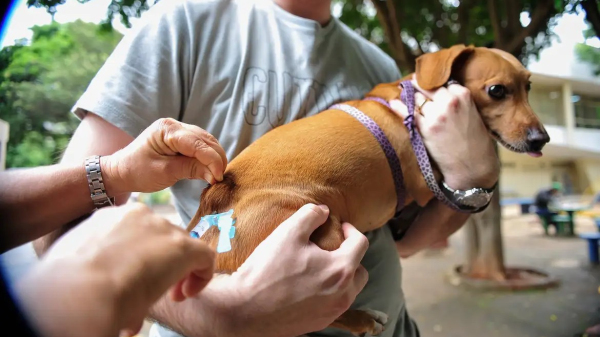 (Arquivo/Agencia Brasil).