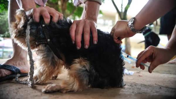 Etapa acontece na Casa Afro (Imagem ilustrativa: Marcelo Camargo/Agencia Brasil).