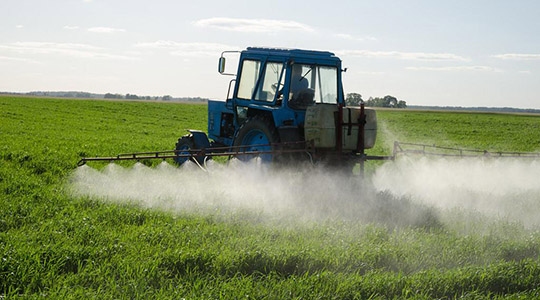 Agrotóxicos podem se acumular em mananciais e em reservas subterrâneas, além de estarem presentes na água usada para irrigação agrícola e fornecida a animais, e ao final são ingeridos na alimentação humana (Ilustração).