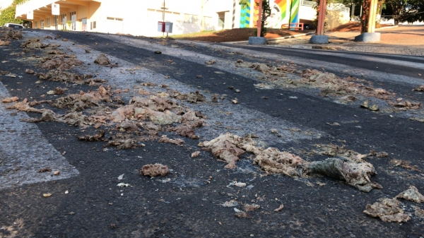 Rejeitos animais na esquina da Praça Élio Micheloni/Fórum, no centro de Adamantina (Foto: Siga Mais).