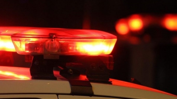 Quatro cavalos escapam de local de eventos, são atropelados e morrem na SP-425