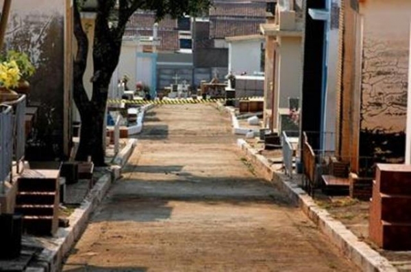 Enxame de abelhas leva à interdução de parte do cemitério de Osvaldo Cruz (Foto: OCNet).