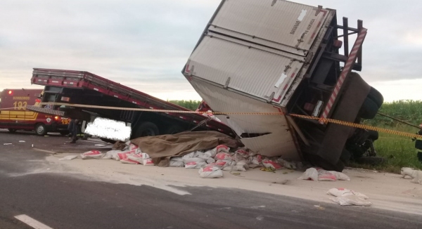 Caminhões batem de frente na SP-425. Tragédia matou os dois motoristas (Foto: Cedida/PM Rodoviária).