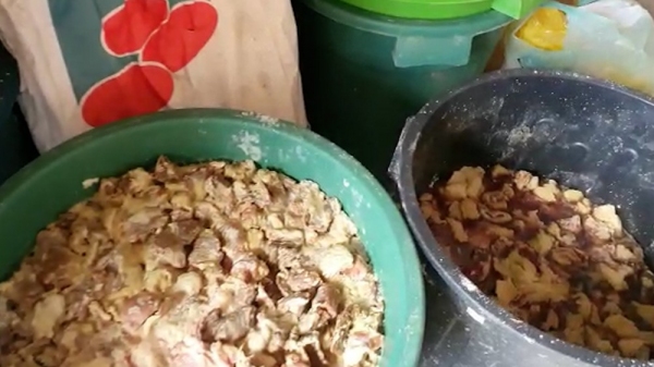 Carne imprópria para consumo, acondicionada sem os cuidados sanitários, encontrada no local (Cedida/Polícia Civil).