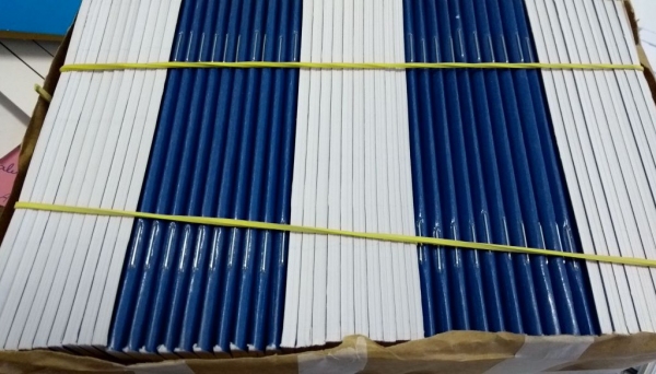 Novo lote de Carteiras de Trabalho é recebido pelo PAT de Adamantina (Foto: Cedida).
