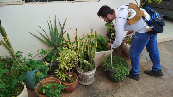 Moradores precisam ficar atentos a locais que acumulem agua parada (Caio Vasques/PMA).