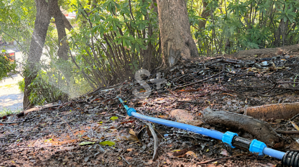 Checagem no local do vazamento nesta segunda-feira, 5 (Imagem: Siga Mais).