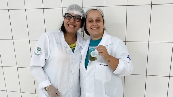 (Acervo Pessoal).