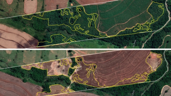 Imagens da área em momentos anterior e atual conformaram a intervenção em área de proteção ambiental (Cedida/PM Ambiental).