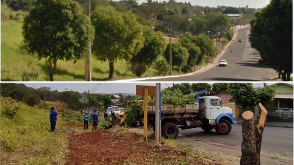 O antes e o depois da supressão de árvores na Avenida Antônio Tiveron  (Google Street View Cedida).