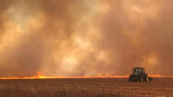 Governo de SP criou Declara??o de Ocorrencia de Incendio para produtores(Foto: Governo de S?o Paulo/Divulgacao).