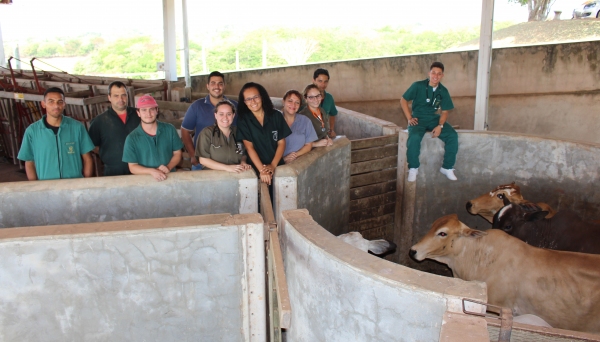 Profª Sandra e alunos do curso de Medicina Veterinária convidam pecuaristas, estudantes e profissionais da área para o Dia de Campo no dia 05 (Foto: João Pedro Lorenzetti).