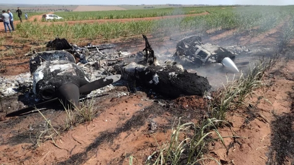 Avião incendiado em área de canavial na zona rural de Mirante do Paranapanema (Foto: PM Ambiental).