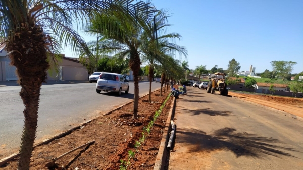 Local ganhará mudas de flores coloridas e as palmeiras já foram plantadas (Divulgação/PMA).