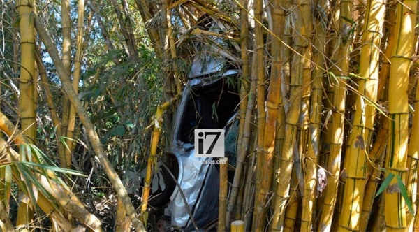 Carro ficou retido entre o bambuzal. Acidente foi descoberto após família sentir pela falta do condutor, em casa (Reprodução: Portal I7/Paraguaçu Paulista).