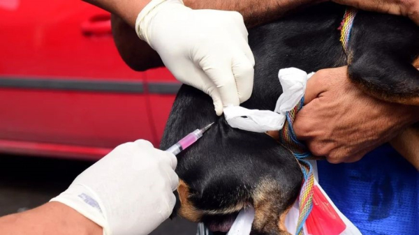 (Imagem ilustrativa/Secom-MT).