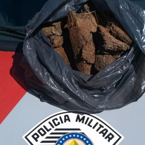 Droga foi encontrada em um saco preto, enterrada, nas proximidades de uma empresa abandonada, em Osvaldo Cruz (Foto: Cedida/PM).