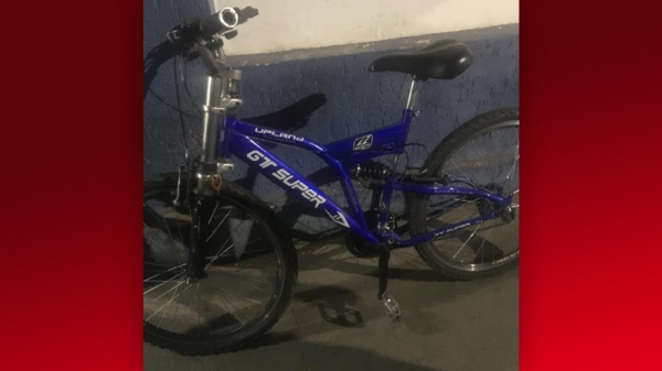 Polícia Militar recupera bicicleta furtada e esclarece autoria (Cedida/PM).